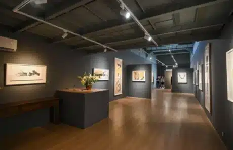 Polar Bear Gallery - China Xian Tour: Private & Tailor-Made China Tours Polar Bear Gallery