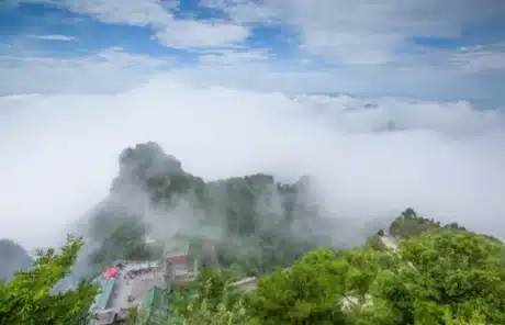 Sea of Clouds at Wudang Mountain - China Xian Tour: Private & Tailor-Made China Tours Sea of Clouds at Wudang Mountain