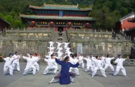 Tai Chi Chuan - China Xian Tour: Private & Tailor-Made China Tours Tai Chi Chuan