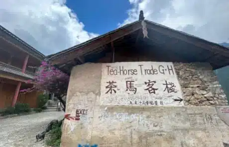 Tea Horse Guesthouse - China Xian Tour: Private & Tailor-Made China Tours Tea Horse Guesthouse