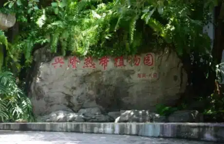 Xinglong Tropical Botanical - China Xian Tour: Private & Tailor-Made China Tours Xinglong Tropical Botanical