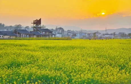 jianshui in spring - China Xian Tour: Private & Tailor-Made China Tours jianshui in spring