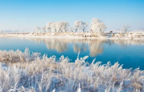 jilin rime in winter - China Xian Tour: Private & Tailor-Made China Tours Jilin International Rime Ice and Snow Festival