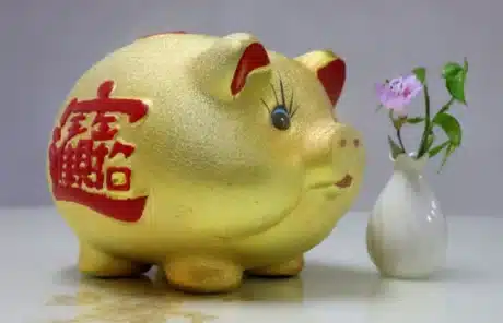 Chinese piggy bank - China Xian Tour: Private & Tailor-Made China Tours Chinese Piggy Bank