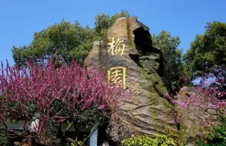 Plum Garden - China Xian Tour: Private & Tailor-Made China Tours Plum Garden