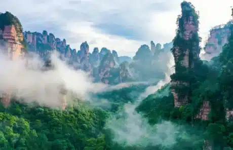 The towering quartz sandstone peak forest in Zhangjiajie - China Xian Tour: Private & Tailor-Made China Tours The towering quartz sandstone peak forest in Zhangjiajie