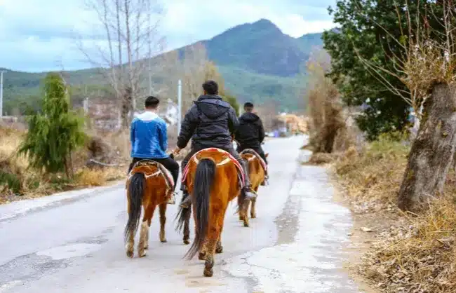 lijiang lashi lake horse riding