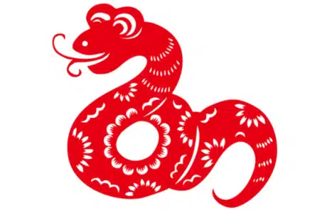 snake paper cutting - China Xian Tour: Private & Tailor-Made China Tours Snake Paper Cutting