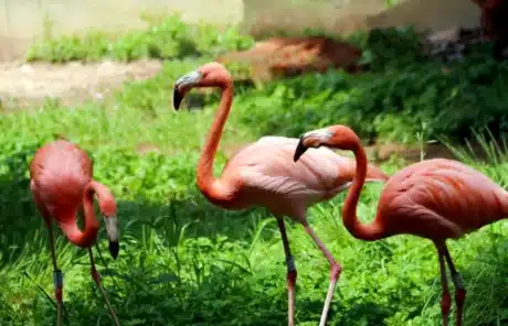 8 Days Yunnan Kid-friendly Family Tour