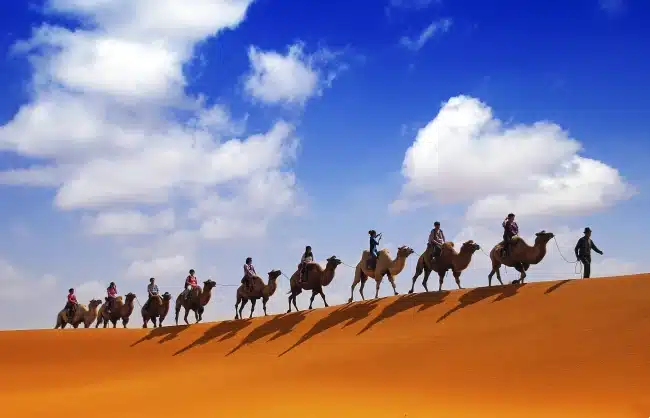 A camel caravan in the desert - China Xian Tour: Private & Tailor-Made China Tours A camel caravan in the desert
