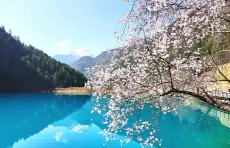 Jiuzhaigou in spring - China Xian Tour: Private & Tailor-Made China Tours Jiuzhaigou in spring