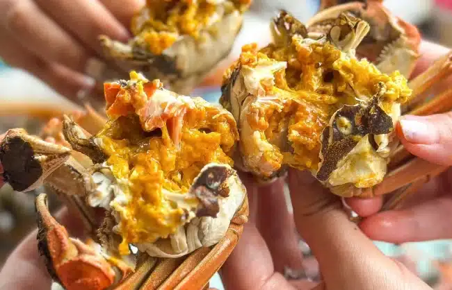 Yangcheng Lake Hairy Crab - China Xian Tour: Private & Tailor-Made China Tours Yangcheng Lake Hairy Crab