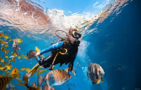 Go diving in Sanya - China Xian Tour: Private & Tailor-Made China Tours Go diving in Sanya