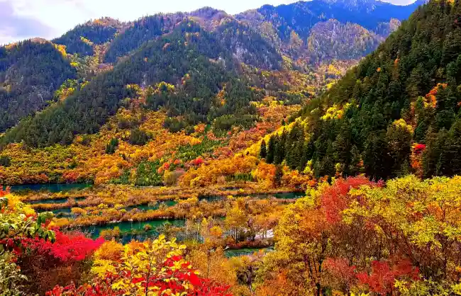 jiuzhaigou in autumn - China Xian Tour: Private & Tailor-Made China Tours Jiuzhaigou in autumn