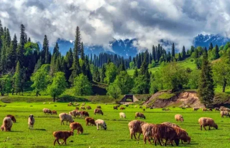 Kashgar in summer - China Xian Tour: Private & Tailor-Made China Tours Kashgar in summer