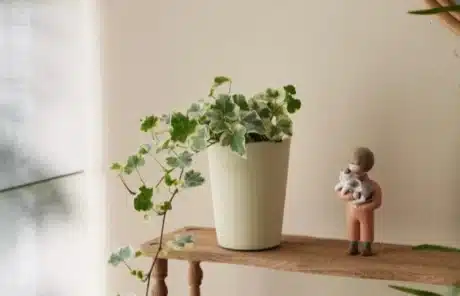 potted plant - China Xian Tour: Private & Tailor-Made China Tours Potted Plant