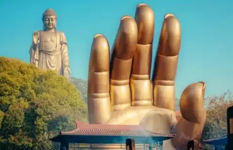 the first palm in the world - China Xian Tour: Private & Tailor-Made China Tours āThe First Palm in the worldā