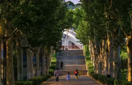 zhengzhou forest park - China Xian Tour: Private & Tailor-Made China Tours Zhengzhou Forest Park