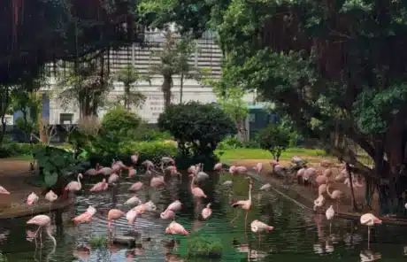 Flamingo Park - China Xian Tour: Private & Tailor-Made China Tours Flamingo Park