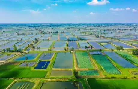 Middle-Lower Yangtze River Plains - China Xian Tour: Private & Tailor-Made China Tours Middle-Lower Yangtze River Plains