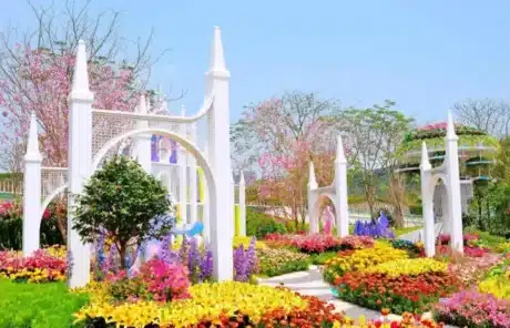 Shenzhen in spring - China Xian Tour: Private & Tailor-Made China Tours Shenzhen in spring