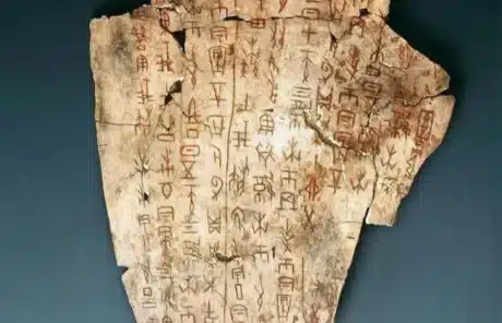 Tools for people to record words before the advent of paper-Oracle Bones - China Xian Tour: Private & Tailor-Made China Tours Tools for people to record words before the advent of paper-Oracle Bones