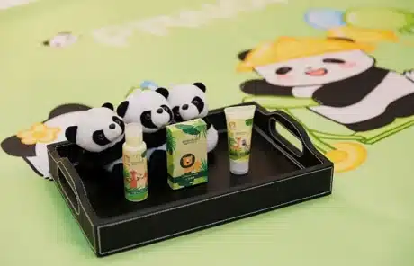 chengdu panda hotel