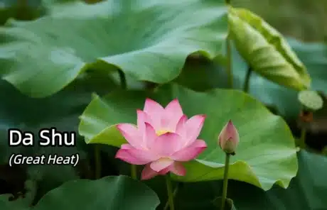 da-shu - China Xian Tour: Private & Tailor-Made China Tours Da Shu