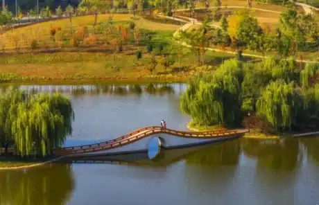qunming-lake - China Xian Tour: Private & Tailor-Made China Tours Qunming Lake