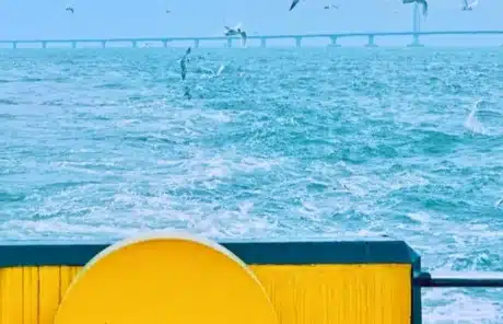 sightseeing by cruise ship in zhuhai - China Xian Tour: Private & Tailor-Made China Tours Sightseeing by cruise ship in zhuhai