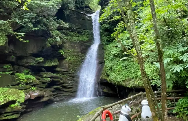 Ya'an Bifengxia Gorge