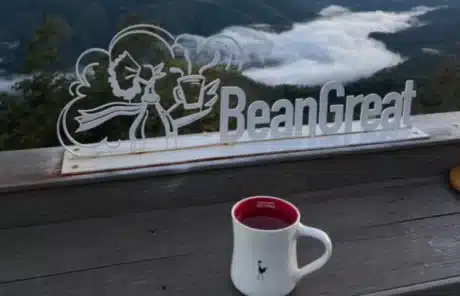 bean-great-cafe-jingmai - China Xian Tour: Private & Tailor-Made China Tours bean great cafe jingmai