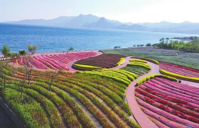 fuhai bay wetland park - China Xian Tour: Private & Tailor-Made China Tours Fuhai Bay Wetland Park in Kunming Fuxian Lake
