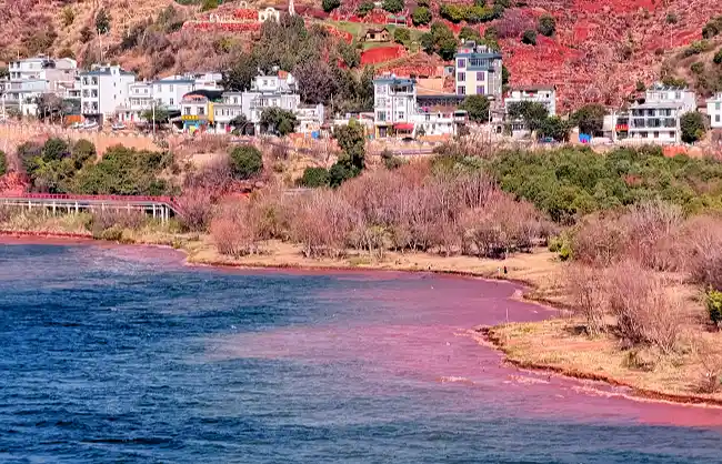 fuxian lake - China Xian Tour: Private & Tailor-Made China Tours Kunming Fuxian Lake