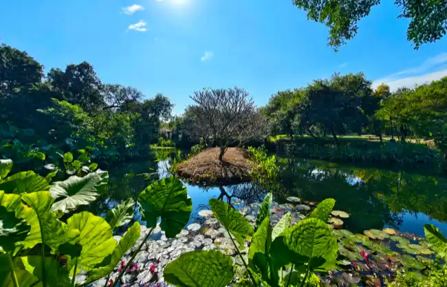 haizhu-national-wetland-park | China Xian Tour: Private & Tailor-Made China Tours Haizhu National Wetland Park