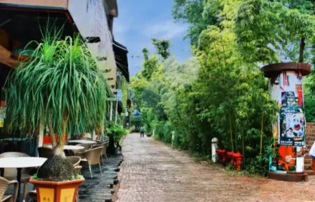 nanshan-district-oct-park | China Xian Tour: Private & Tailor-Made China Tours Nanshan District Oct Park