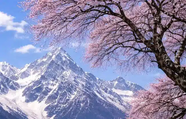 nyingchi - China Xian Tour: Private & Tailor-Made China Tours nyingchi