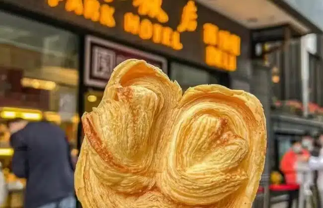 palmier - China Xian Tour: Private & Tailor-Made China Tours palmier
