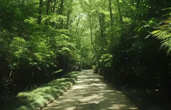 purple-mountain-hiking - China Xian Tour: Private & Tailor-Made China Tours purple mountain hiking