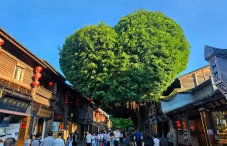 sanfang-qixiang - China Xian Tour: Private & Tailor-Made China Tours Sanfang Qixiang