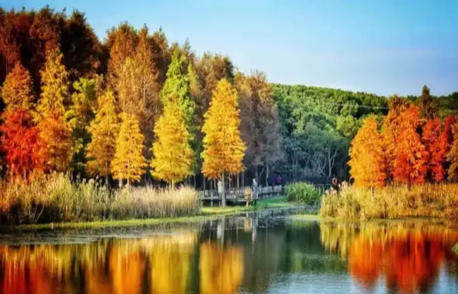 shanghai autumn - China Xian Tour: Private & Tailor-Made China Tours Shanghai Autumn