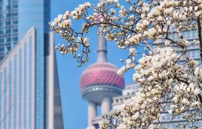 shanghai spring - China Xian Tour: Private & Tailor-Made China Tours Shanghai Spring