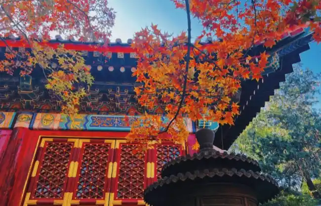 xiangshan-park-in-beijing - China Xian Tour: Private & Tailor-Made China Tours Xiangshan Park in Beijing