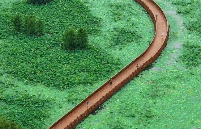 xuanwu-lake-summer - China Xian Tour: Private & Tailor-Made China Tours xuanwu lake summer