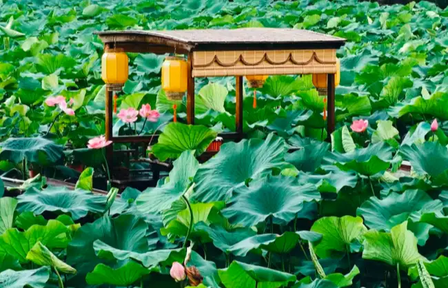 green lake park | China Xian Tour: Private & Tailor-Made China Tours Green Lake Park in Kunming