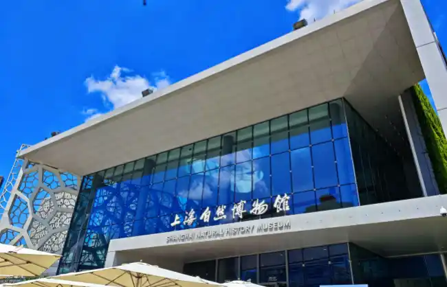 shanghai-natural-history-museum | China Xian Tour: Private & Tailor-Made China Tours Shanghai Natural History Museum