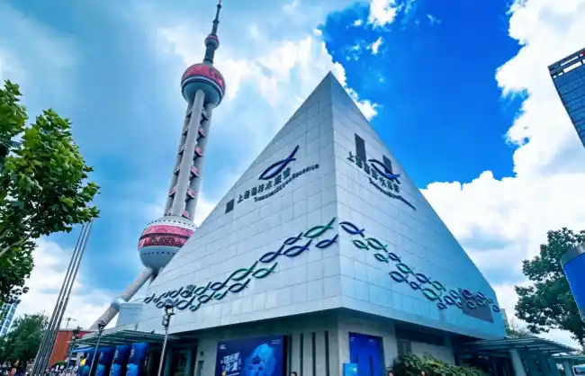 shanghai-ocean-aquarium | China Xian Tour: Private & Tailor-Made China Tours Shanghai Ocean Aquarium