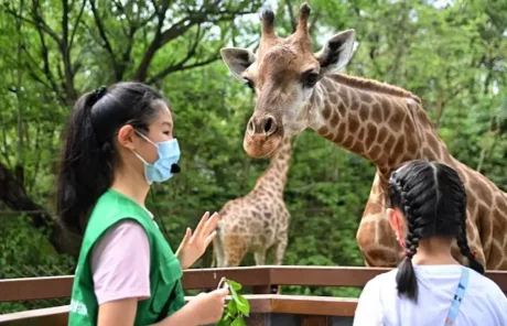 shenzhen safari park | China Xian Tour: Private & Tailor-Made China Tours shenzhen safari park