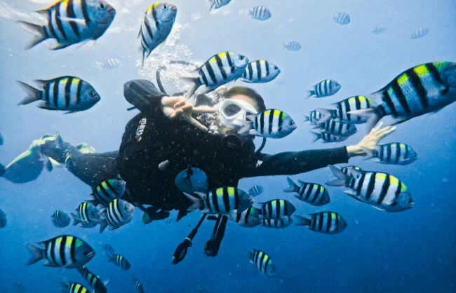 snorkeling-in-yalong-bay | China Xian Tour: Private & Tailor-Made China Tours Snorkeling in Yalong Bay
