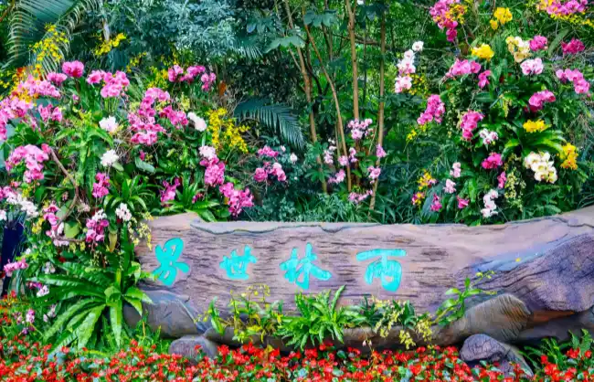xiamen-botanical-garden | China Xian Tour: Private & Tailor-Made China Tours Lush garden with pink, white, and yellow flowers around a large rock sign with turquoise Chinese characters.